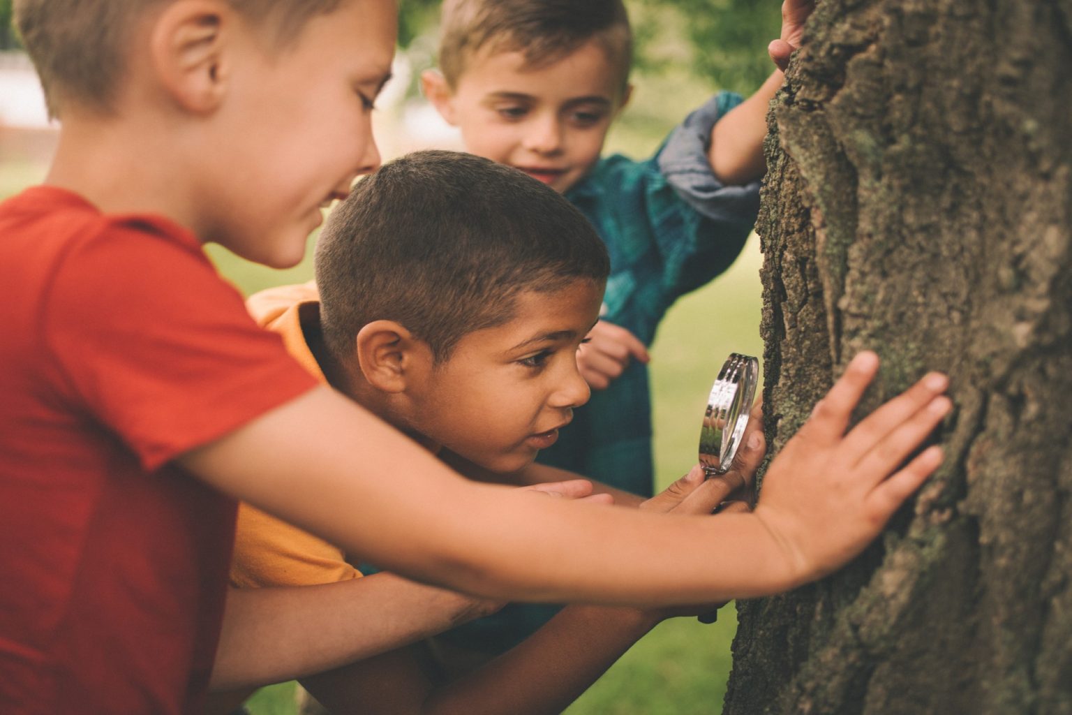 Educação Ambiental Formal E Não Formal Exemplos